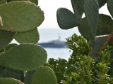 Tn CANNES ANTIBES 222